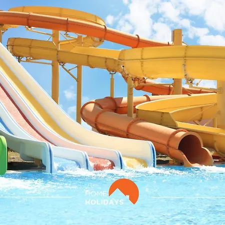 #049 Lemon By Holidays *